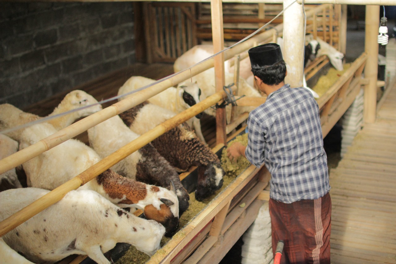 Selain pendidikan agama, pesantren juga membekali santri dengan keterampilan hidup agar siap dan mandiri ketika terjun ke masyarakat.